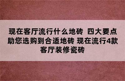 现在客厅流行什么地砖  四大要点助您选购到合适地砖 现在流行4款客厅装修瓷砖